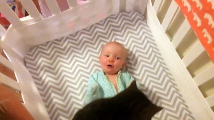 Маленькое солнышко осветило наш день Малыш просто без ума от своего кота