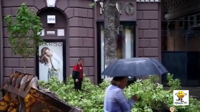 Самые везучие люди на земле 2015