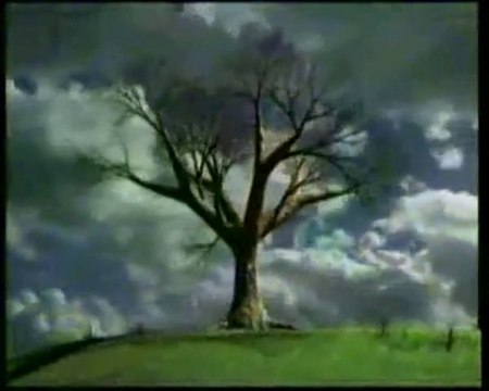 Darwin S'est Trompé .. ترجمة عربية , لقد أخطأ داروين Sous Titres Arabe