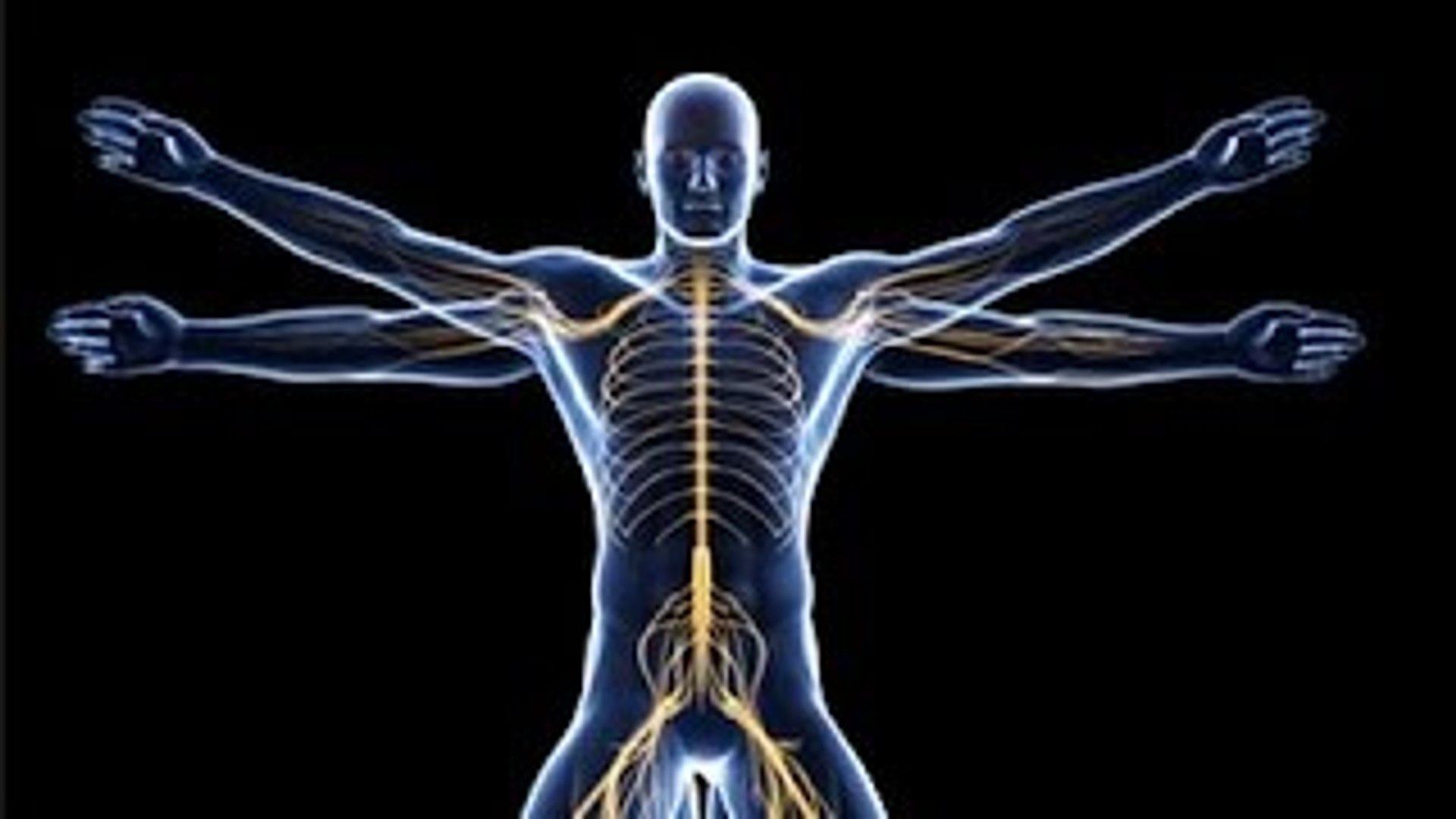 A Estatística do Corpo (Dublado) - Documentário Discovery Science