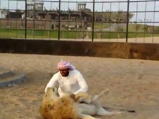 Arabic Man Vs Lion Who Wins ?