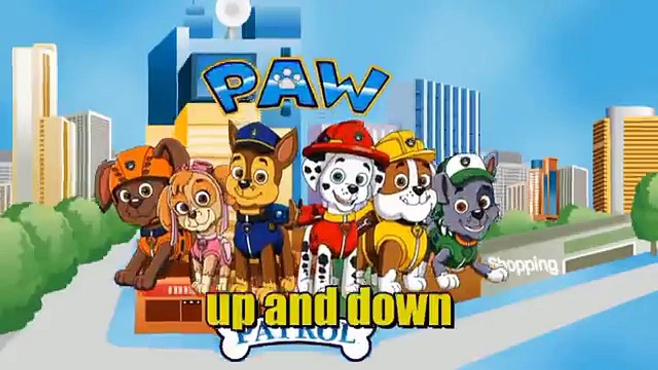 paw patrol cartoon Song Wheels on the Bus paw patron the Bus Song with lyrics Rhl English