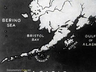 HOW IT WORKS: A Salmons Life Cycle (720p)