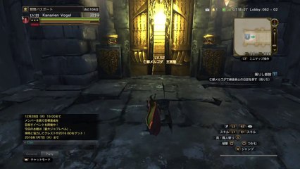 ドラゴンズドグマ オンライン　ウォーリアー妄執の幽戦士ソロ