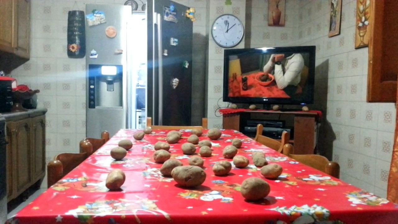 Natal Dog