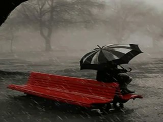 Gorgeous Rain and the sound of the violin -(Muhteşem Yağmur ve Keman sesi