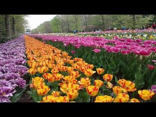 Super Hit Hindi Christian Devotional Song