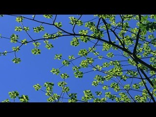 Super Hit Hindi Christian Devotional Song