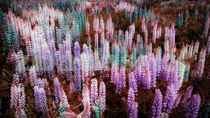 Super Hit Tamil Christian Devotional Song