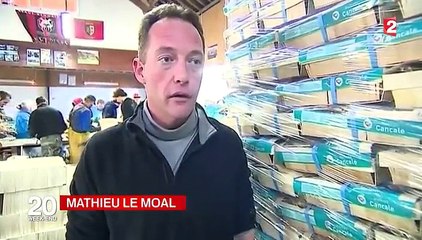 Enquête : parcs à huîtres sous surveillance