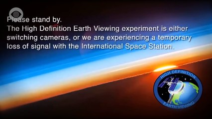 Is NASA Hiding Alien Life?