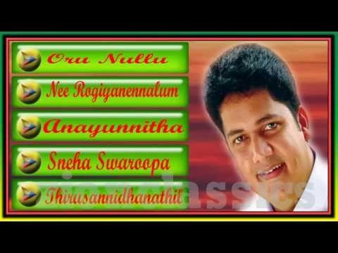 Biju Narayanan Evergreen Musical Hits | Jukebox