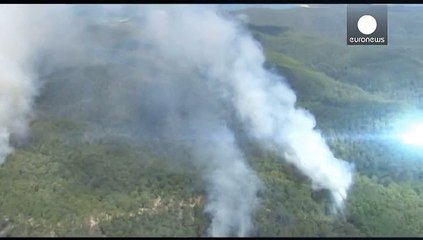 Koala rescued from Australian bushfire