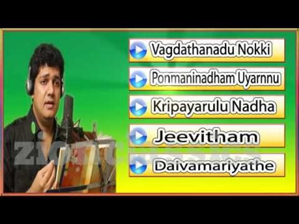 Biju Narayanan Evergreen Musical Hits | Jukebox