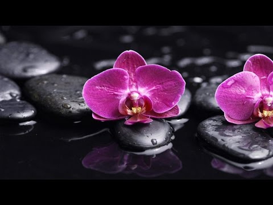 Malayalam Christian Devotional Songs