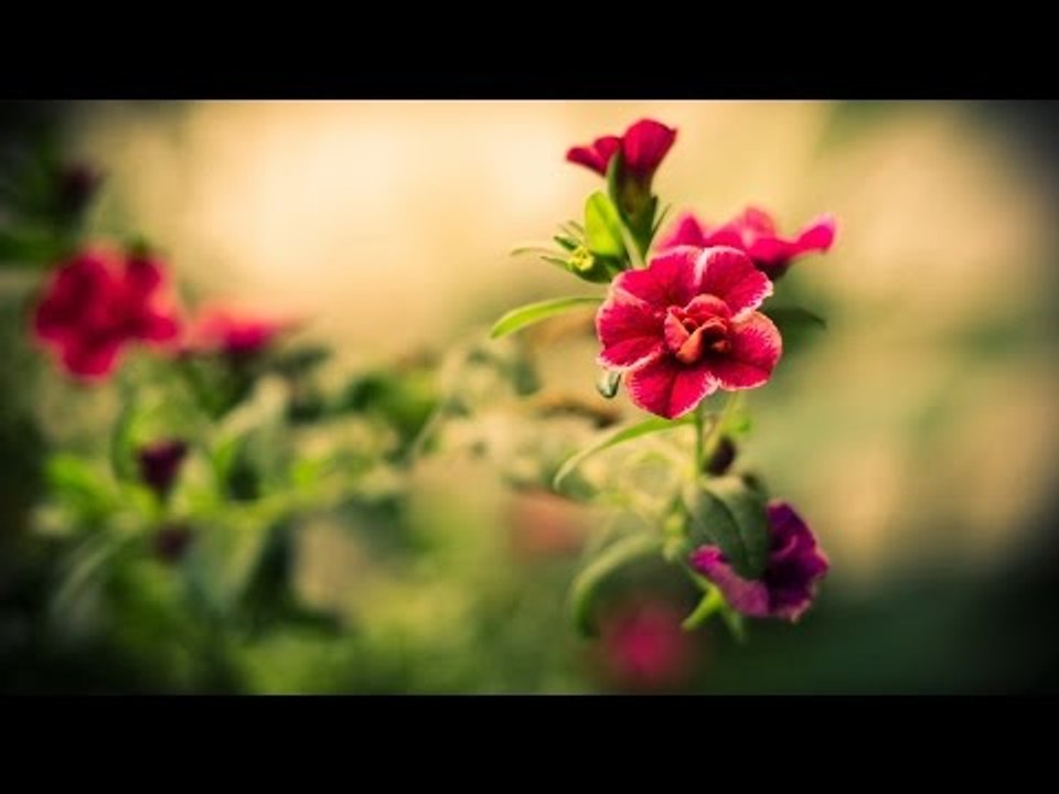 Malayalam Christian Devotional Songs Non Stop