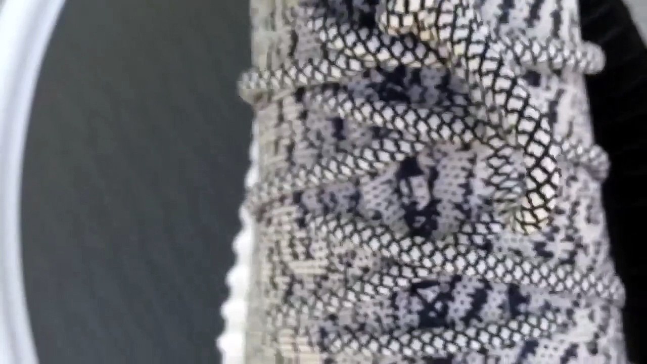 Adidas Yeezy 350 Boost Comparison - Turtle Dove vs Pirate Black (Part 3)