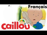 Caillou FRANÇAIS - La promesse de Caillou (S02E19)