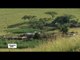 Afrique du Sud : en terre Zoulou - Échappées belles