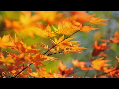 Super Hit Malayalam Christian Devotional Songs Non Stop | Album GOD