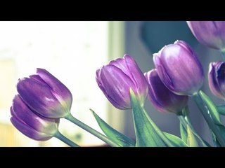 Super Hit Malayalam Christian Devotional Song