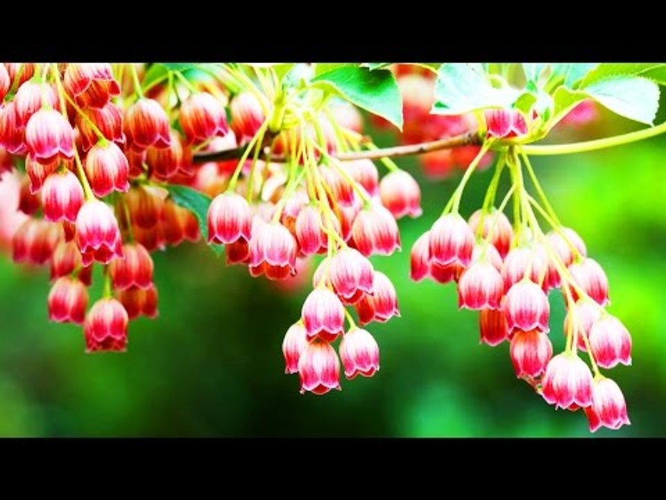 Malayalam Christian Devotional Songs Non Stop