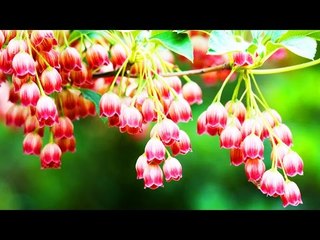 Malayalam Christian Devotional Songs Non Stop