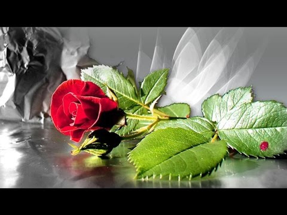 Malayalam Christian Devotional Song