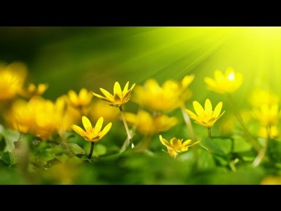 Malayalam Christian Devotional Song