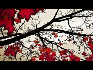 Malayalam Christian Devotional Songs Non Stop | Old is Gold
