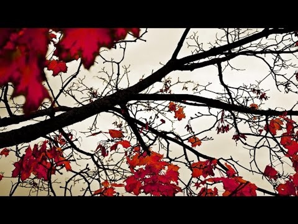 Malayalam Christian Devotional Songs Non Stop | Old is Gold