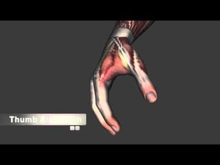 Wrist Thumb and Finger Actions - Only Actions - Kinesiology Quiz