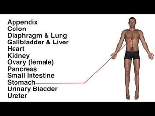 Visceral Pain Referral Chart - Quiz
