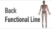 Back Functional Line - Myofascial Meridians - Kinesiology Quiz
