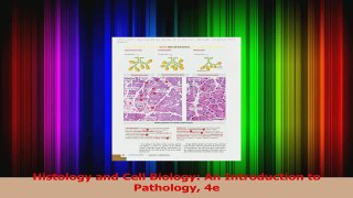 Read  Histology and Cell Biology An Introduction to Pathology 4e Ebook Free