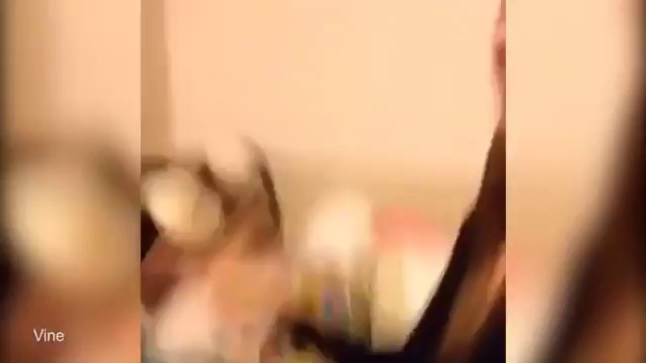 'Feline' frisky Watch ADORABLE kitten bite girl's lip
