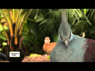 Sologne, un concentré d'émotions - Echappées belles