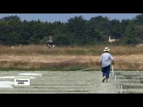 En longeant la côte vendéenne - Echappées belles