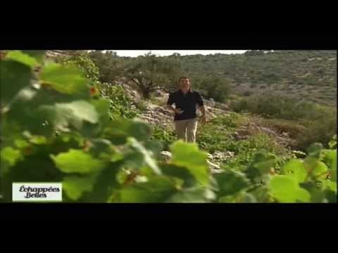 Croatie - Echappées belles