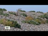 Echappée en baie de Somme - Echappées belles