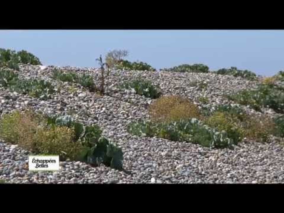 Echappée en baie de Somme - Echappées belles