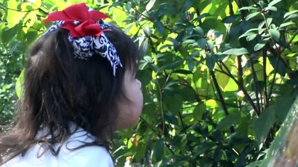 Zoo Cheetahs Run at Sam Houston Race Park!  Hansel the Fossa