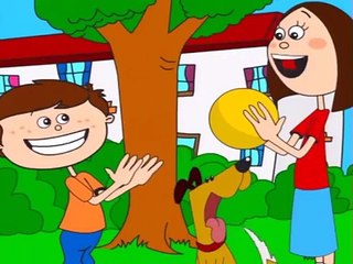 What Kind of Signs Do Animals Use?