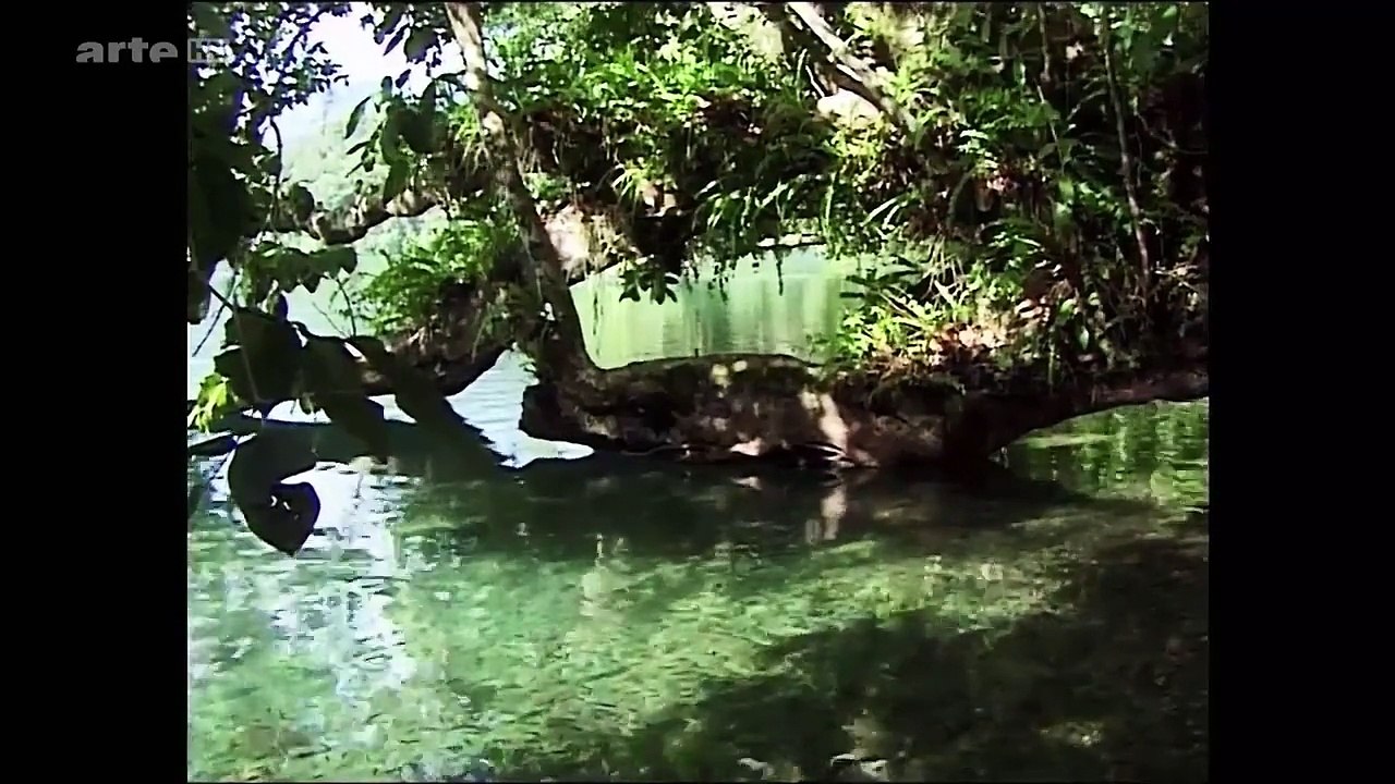 Waigeo Insel der Magier Doku (2003)