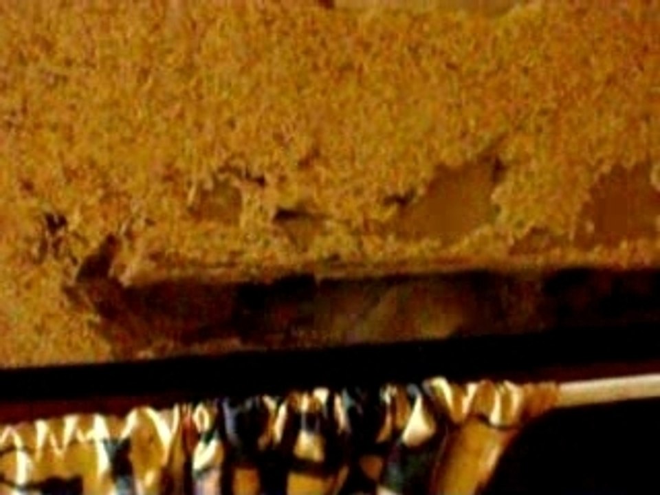 IMGP0800