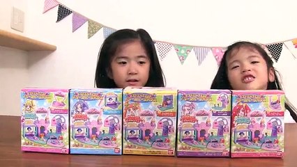 BANDAIドキドキプリキュアドリームパークハウス purikyua house