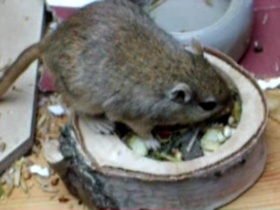 IMGP0811