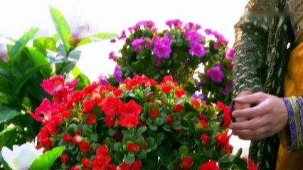 City of Desperate Love - Hua Xu Yin - E30 English subtitle