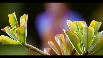 Na Kajre Ki Dhar Full Video HD