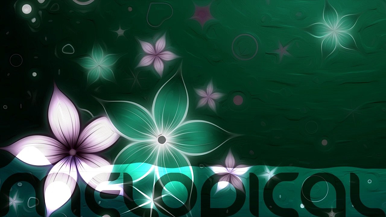 MELOCIDAL - Lotus